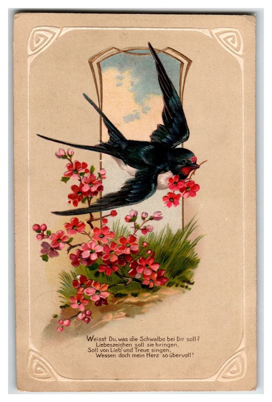 Antique German Swallow Bird Postcard Love Token Blossoms SERIE 6192 Posted 1907